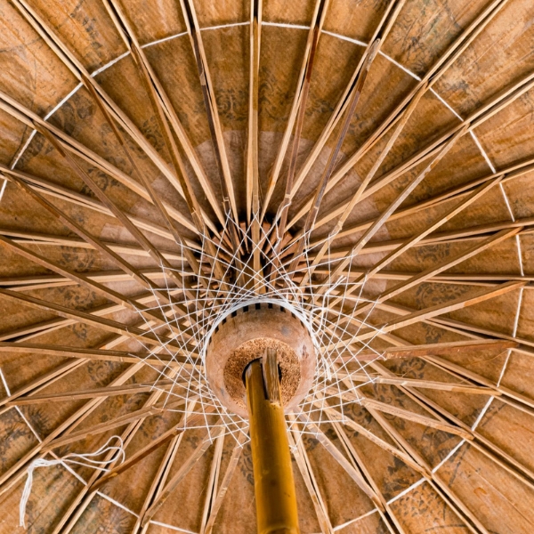 Vintage Asian Hand-Painted Paper Parasol with Crane and Pine Motif - Image 6